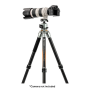 Fotopro T1 Plus Tripod T-Bar+TH-1M Gray