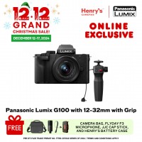 Panasonic Lumix G100 with 12-32mm with Grip