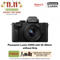 Panasonic Lumix G100 with 12-32mm without Grip