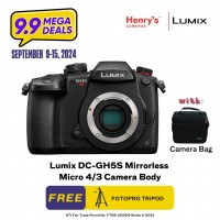 Panasonic Lumix DC-GH5S Mirrorless Micro 4/3 Camera Body