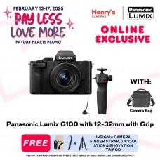 Panasonic Lumix G100 with 12-32mm with Grip