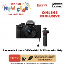 Panasonic Lumix G100 with 12-32mm with Grip