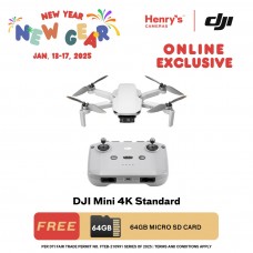 DJI Mini 4K Standard