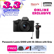 Panasonic Lumix G100 with 12-32mm with Grip