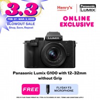 Panasonic Lumix G100 with 12-32mm without Grip