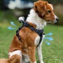 Insta360 Pet Harness 